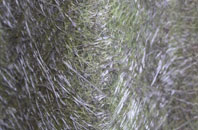 Helmsley fibreglass roof work